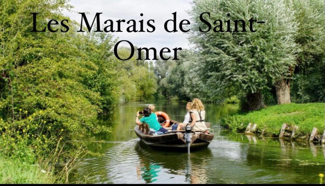 Le Clos Des Bambous Saint-Martin-Lez-Tatinghem Bagian luar foto
