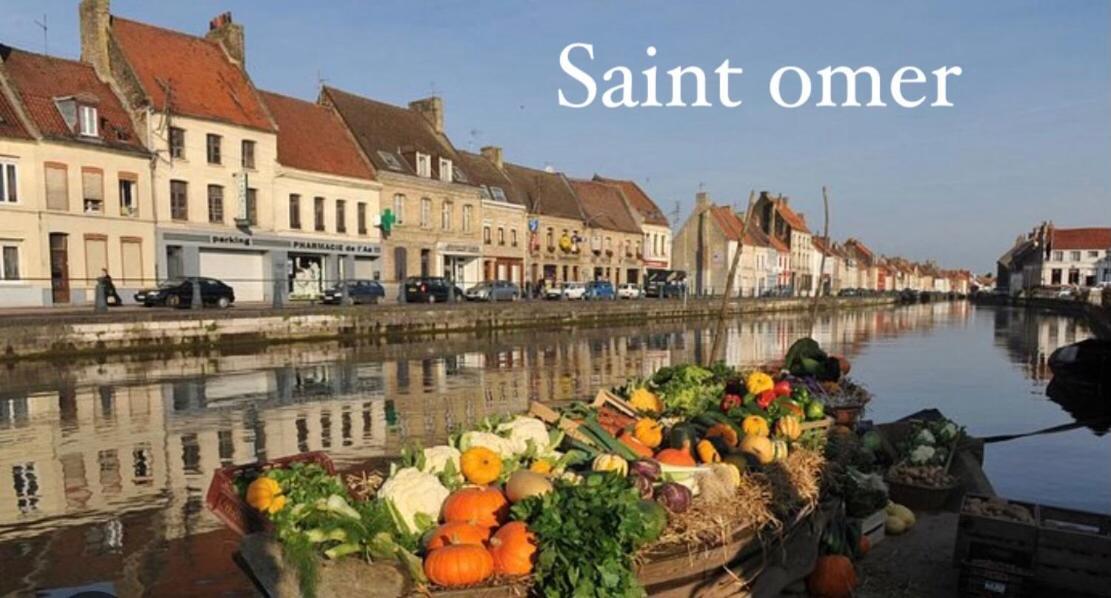 Le Clos Des Bambous Saint-Martin-Lez-Tatinghem Bagian luar foto