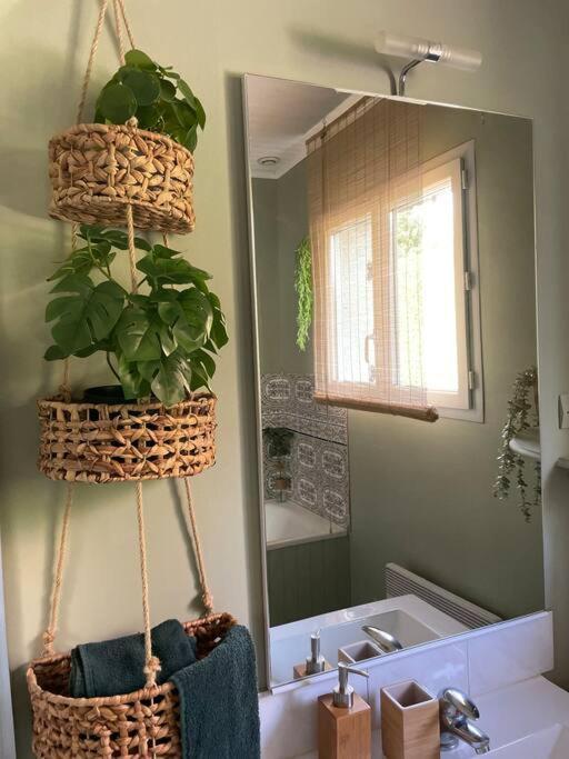Le Clos Des Bambous Saint-Martin-Lez-Tatinghem Bagian luar foto