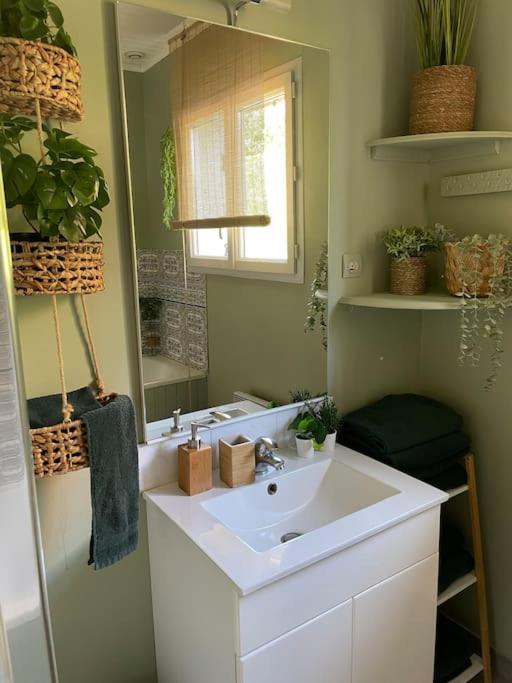 Le Clos Des Bambous Saint-Martin-Lez-Tatinghem Bagian luar foto